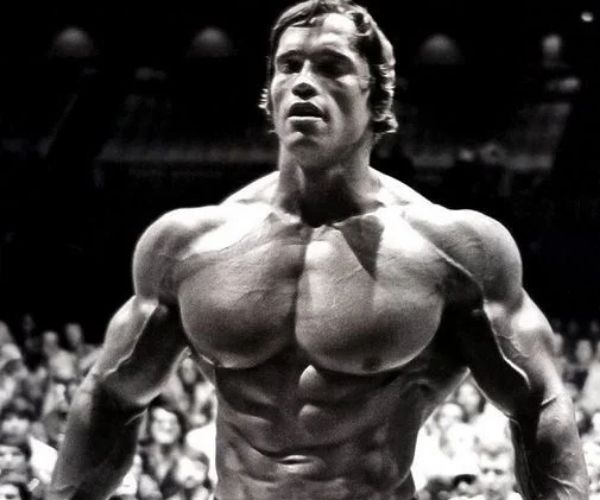 Arnold-Schwarzenegger-the-Austrian-Oak-period